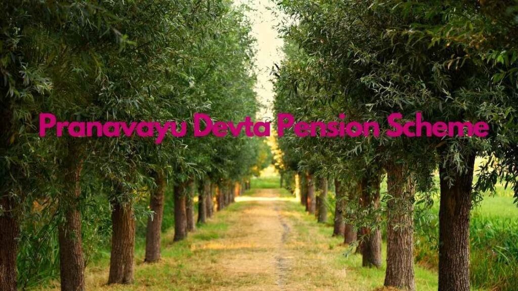 Prana Vayu Devta Pension Scheme: A LifeLine for Older Urban Trees! 1 prana vayu devta pension scheme