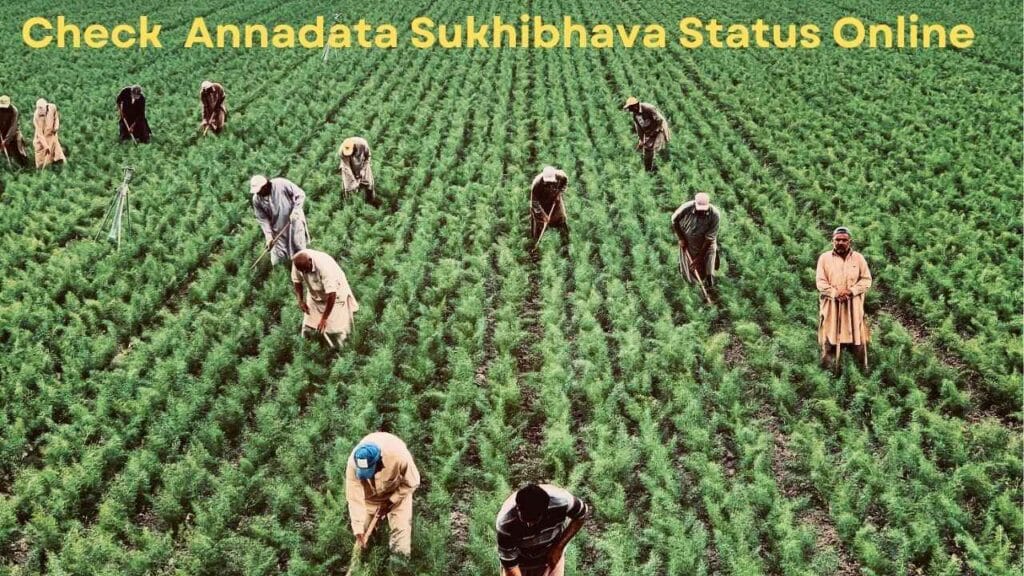 Check Your Annadata Sukhibhava Status Online 2024 1 Check Your Annadata Sukhibhava Status Online