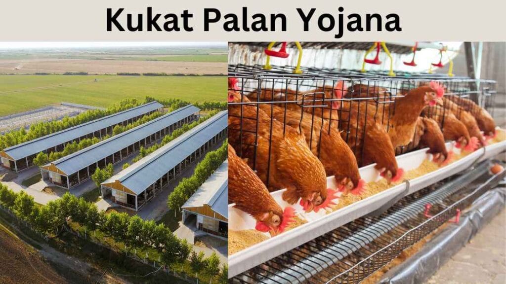 Kukut Palan Yojana Online Form: A Complete Guide for Farmers 1 kukut palan yojana online form