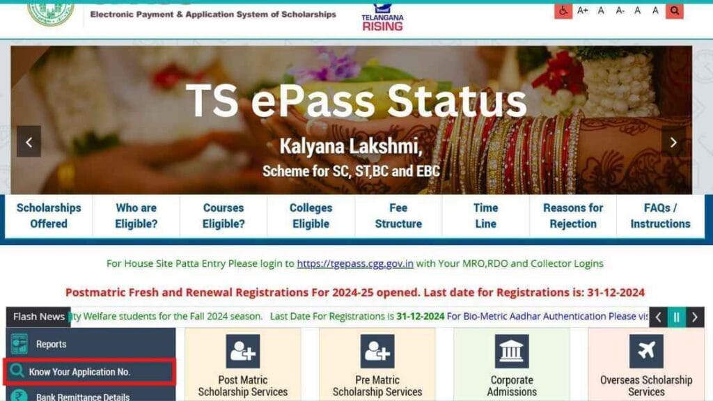 TS ePass Scholarship Status: A Comprehensive Guide for Scholarship Applicants 29 epass scholarship status